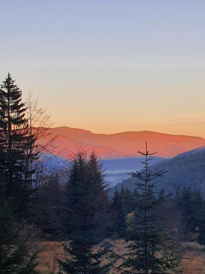 Vrleti Tare Villa Bajina Basta Bagian luar foto