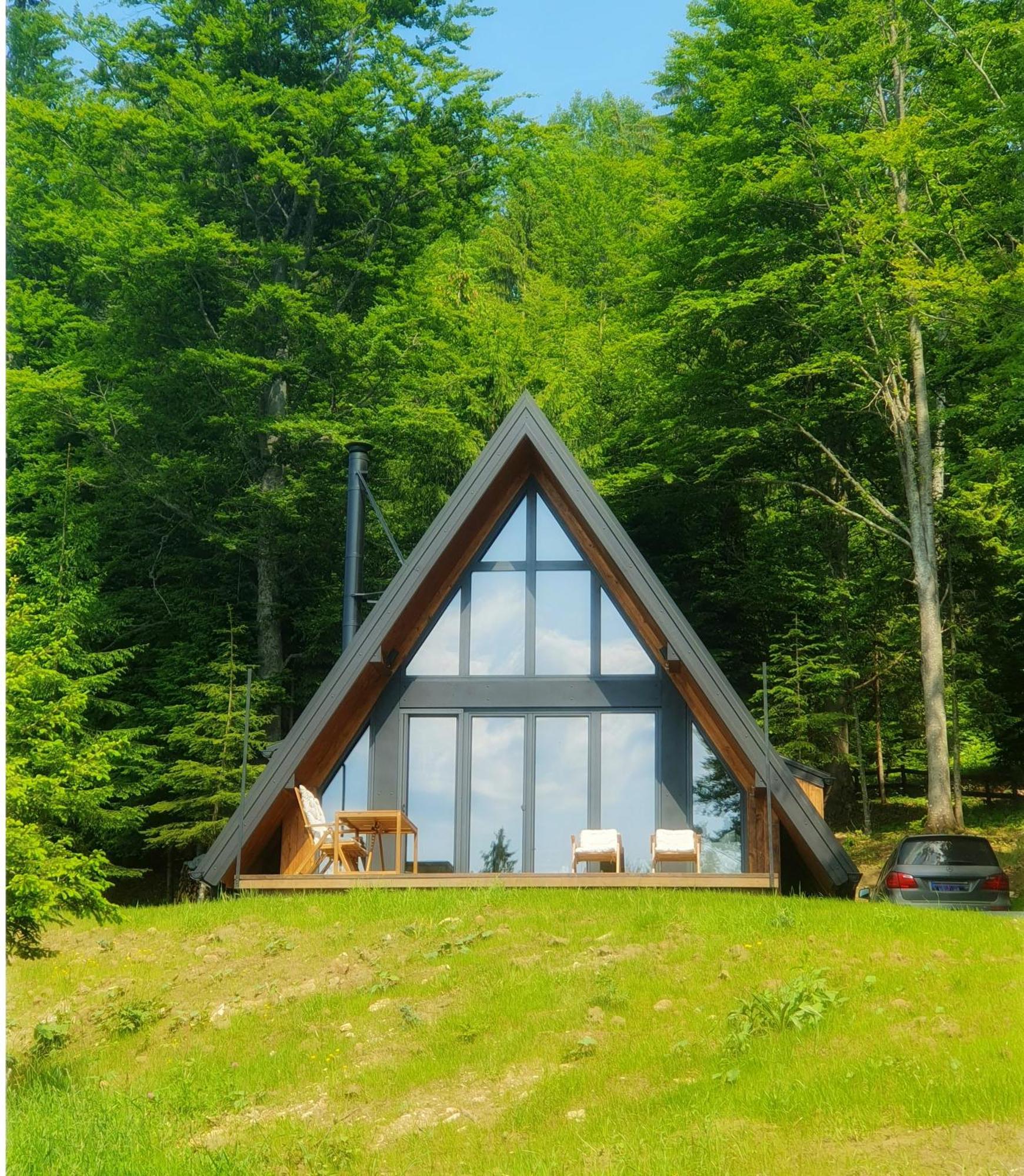 Vrleti Tare Villa Bajina Basta Bagian luar foto