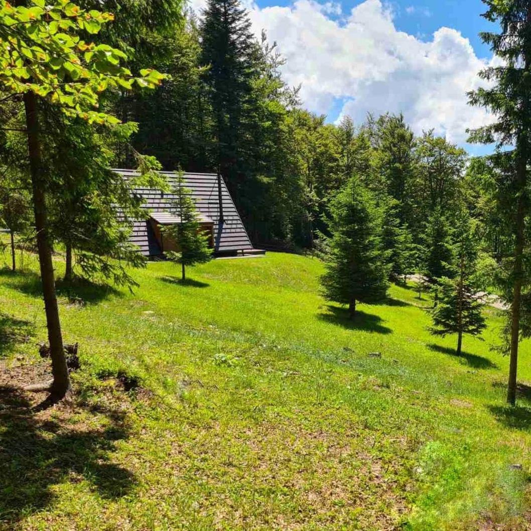 Vrleti Tare Villa Bajina Basta Bagian luar foto